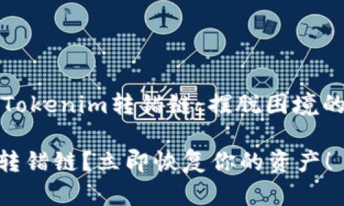 如何应对Tokenim转错链：摆脱困境的实用指南

Tokenim转错链？立即恢复你的资产！