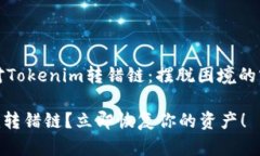 如何应对Tokenim转错链：摆脱困境的实用指南Tok