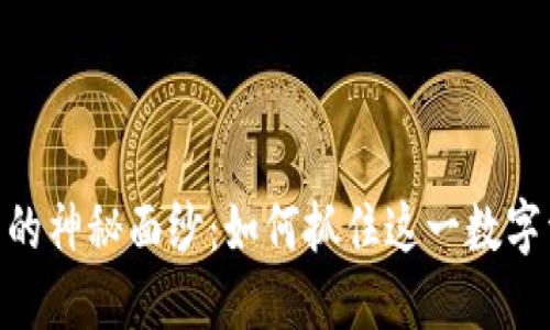 揭开GSM虚拟币的神秘面纱：如何抓住这一数字资产的未来机遇