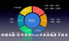 把握机遇！如何利用Doge币进行投资与增值