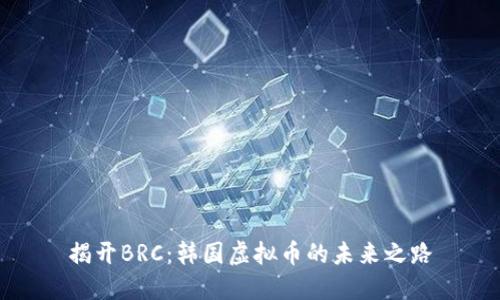 揭开BRC：韩国虚拟币的未来之路