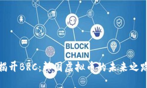 揭开BRC：韩国虚拟币的未来之路