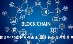 探索BGTS虚拟币的未来：投资机会与风险管理