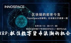 XRP：抓住数字货币浪潮的机会！