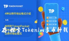 安全与便利并存：探索Tokenim多币种钱包的无限可
