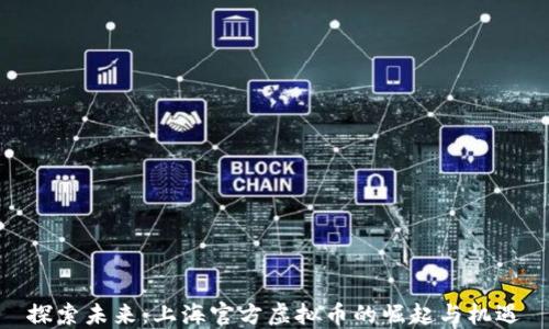 
探索未来：上海官方虚拟币的崛起与机遇