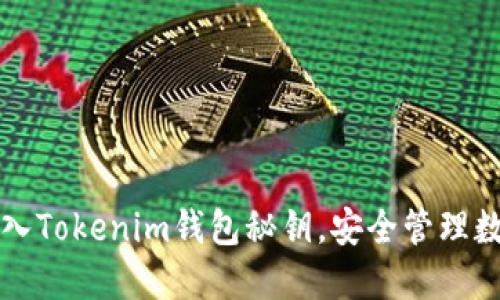 轻松导入Tokenim钱包秘钥，安全管理数字资产