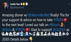 迈向数字财富：深入了解黑石币的投资机会