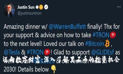 迈向数字财富：深入了解黑石币的投资机会