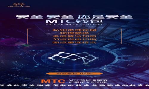 如何在数字浪潮中驾驭比特币与狗狗币的投资机遇