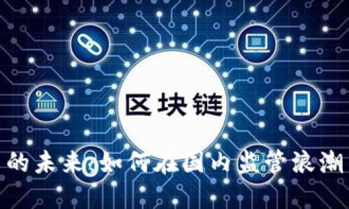 探索虚拟币的未来：如何在国内监管浪潮中把握机遇