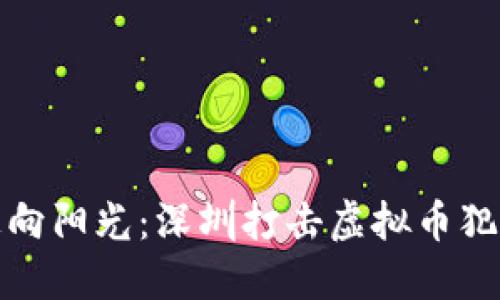 从虚拟梦境走向阳光：深圳打击虚拟币犯罪的胜利之路