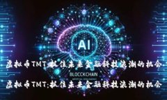 虚拟币TMT：抓住未来金融科技浪潮的机会虚拟币