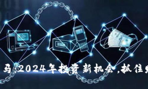 虚拟币黑马：2024年投资新机会，抓住财富未来！