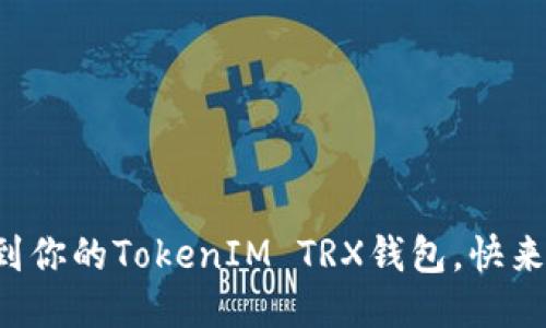 轻松添加币种到你的TokenIM TRX钱包，快来看看如何操作！