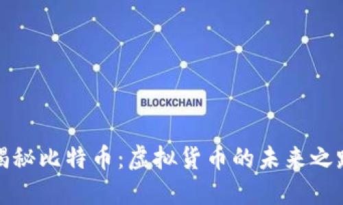 揭秘比特币：虚拟货币的未来之路