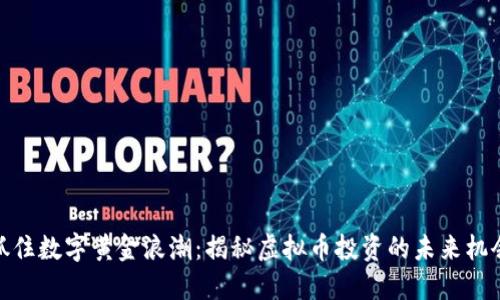 抓住数字黄金浪潮：揭秘虚拟币投资的未来机会