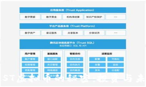  
掌握IMST虚拟币的秘密：投资与未来趋势