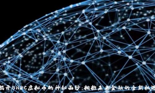   
揭开BHPC虚拟币的神秘面纱：拥抱未来金融的全新机遇