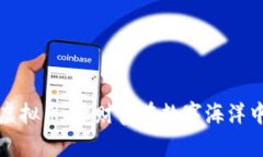 掌握虚拟币，让财富在数字海洋中起航