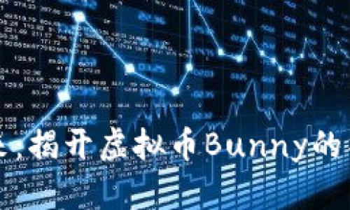 未来已来：揭开虚拟币Bunny的神秘面纱