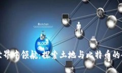 在虚拟世界中领航：探索土地与比特币的奇妙关