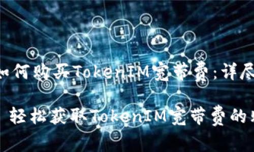 ### 如何购买TokenIM宽带费：详尽攻略

#### 轻松获取TokenIM宽带费的购买指南