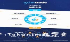 掌握您的数字资产：Tokenim数字资产管理工具全解