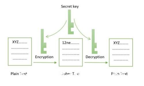 虚拟币转蛋：数字时代的抽奖体验