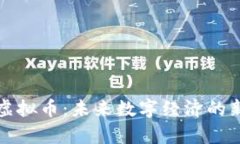 风沙虚拟币：未来数字经济的新前沿