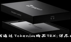 如何通过Tokenim购买TRX：详尽指南