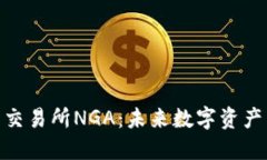 探索虚拟币交易所NGA：未来数字资产交易的先锋