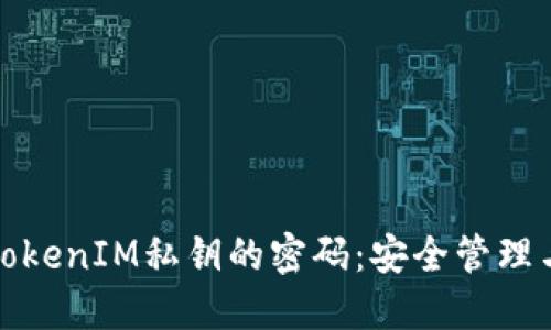 如何保护TokenIM私钥的密码：安全管理与防范策略