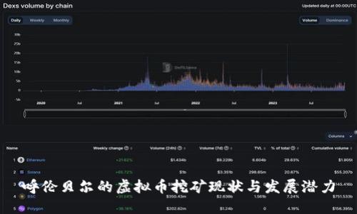 呼伦贝尔的虚拟币挖矿现状与发展潜力