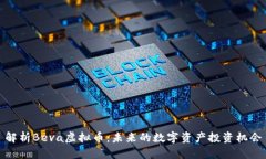 解析Beva虚拟币：未来的数字资产投资机会