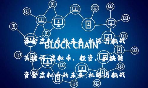 资金虚拟币的未来：机遇与挑战

关键词：虚拟币, 投资, 区块链

资金虚拟币的未来：机遇与挑战