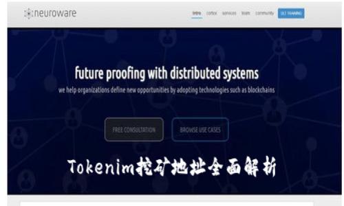 Tokenim挖矿地址全面解析