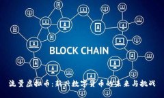 流量虚拟币：新兴数字货币的未来与挑战