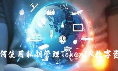 如何使用私钥管理TokenIM数字资产