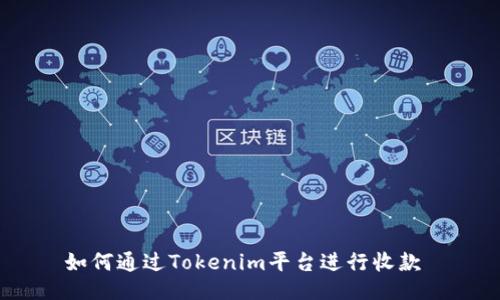如何通过Tokenim平台进行收款 