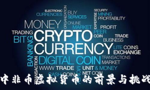  
中非币虚拟货币的前景与挑战