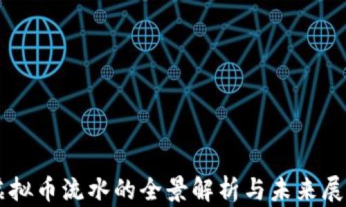 
虚拟币流水的全景解析与未来展望