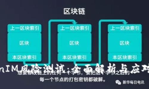 TokenIM风险测试：全面解析与应对策略