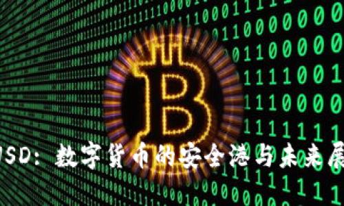 HUSD: 数字货币的安全港与未来展望