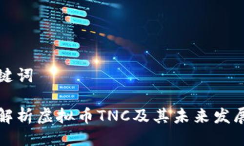 与关键词

深入解析虚拟币TNC及其未来发展趋势