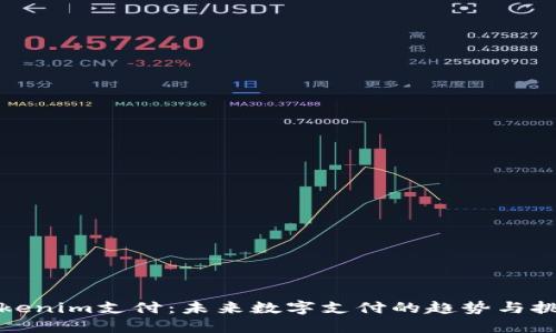 Tokenim支付：未来数字支付的趋势与挑战