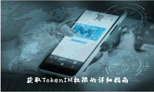 获取TokenIM权限的详细指南
