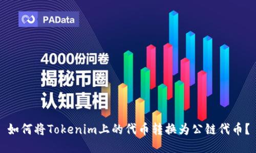 如何将Tokenim上的代币转换为公链代币？
