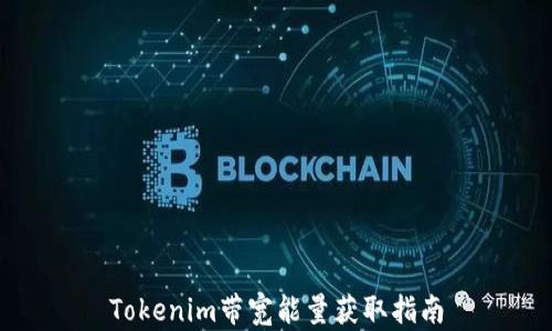 
Tokenim带宽能量获取指南