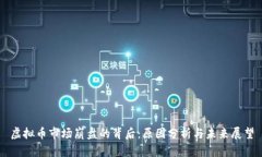 虚拟币市场崩盘的背后：原因分析与未来展望